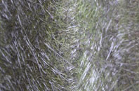 Dutton fibreglass roof work